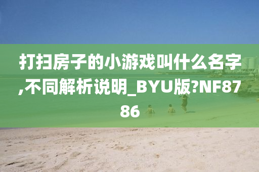 打扫房子的小游戏叫什么名字,不同解析说明_BYU版?NF8786