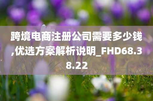 跨境电商注册公司需要多少钱,优选方案解析说明_FHD68.38.22