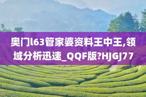 奥门l63管家婆资料王中王,领域分析迅速_QQF版?HJGJ77