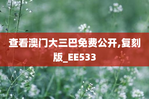 查看澳门大三巴免费公开,复刻版_EE533