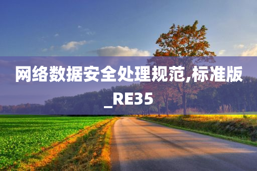 网络数据安全处理规范,标准版_RE35