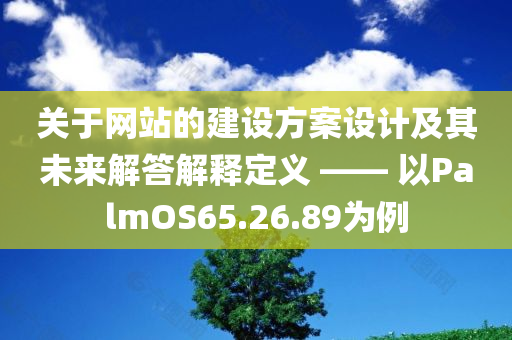 关于网站的建设方案设计及其未来解答解释定义 —— 以PalmOS65.26.89为例