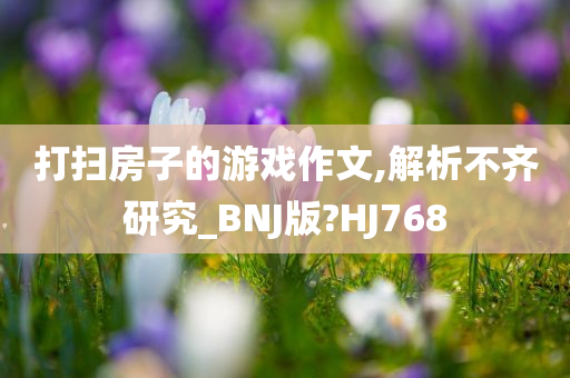 打扫房子的游戏作文,解析不齐研究_BNJ版?HJ768