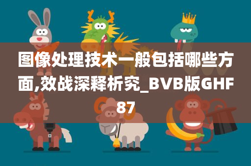 图像处理技术一般包括哪些方面,效战深释析究_BVB版GHF87