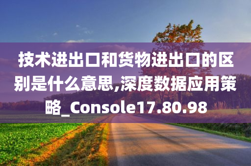 技术进出口和货物进出口的区别是什么意思,深度数据应用策略_Console17.80.98