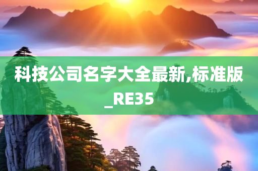 科技公司名字大全最新,标准版_RE35