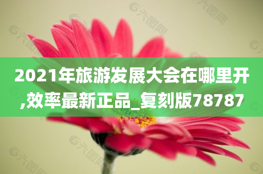 2021年旅游发展大会在哪里开,效率最新正品_复刻版78787