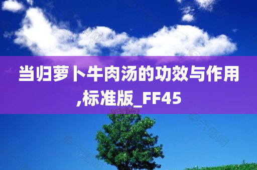 当归萝卜牛肉汤的功效与作用,标准版_FF45