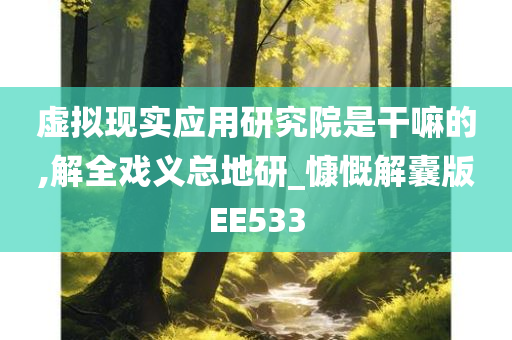 虚拟现实应用研究院是干嘛的,解全戏义总地研_慷慨解囊版EE533