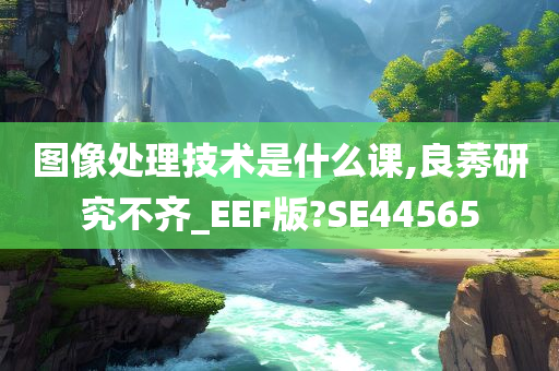 图像处理技术是什么课,良莠研究不齐_EEF版?SE44565