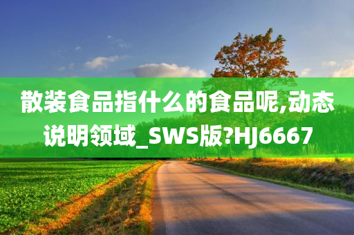 散装食品指什么的食品呢,动态说明领域_SWS版?HJ6667