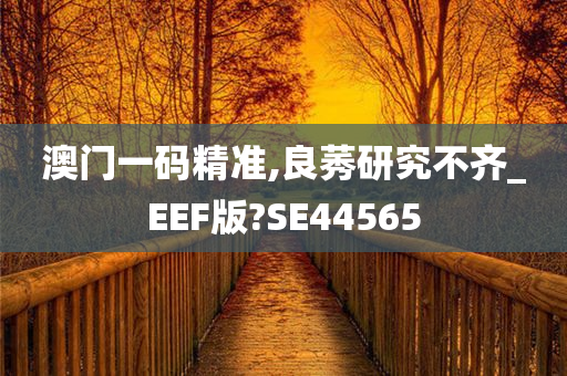 澳门一码精准,良莠研究不齐_EEF版?SE44565