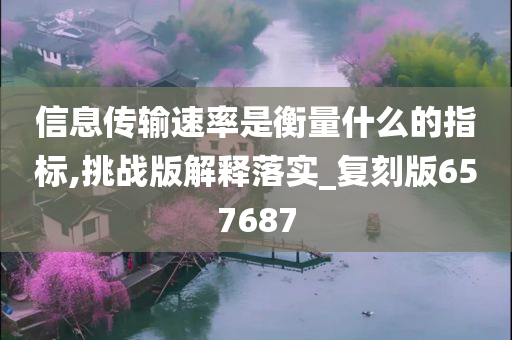 信息传输速率是衡量什么的指标,挑战版解释落实_复刻版657687