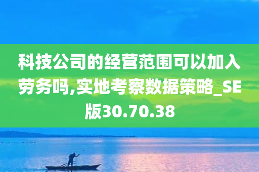 科技公司的经营范围可以加入劳务吗,实地考察数据策略_SE版30.70.38