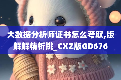 大数据分析师证书怎么考取,版解解精析挑_CXZ版GD676