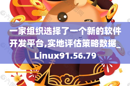 一家组织选择了一个新的软件开发平台,实地评估策略数据_Linux91.56.79