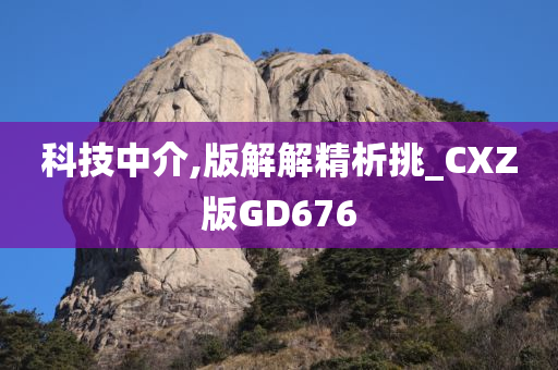 科技中介,版解解精析挑_CXZ版GD676