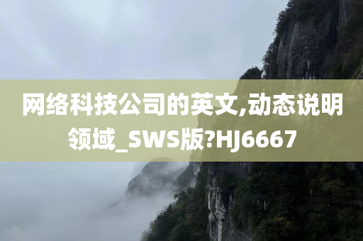 网络科技公司的英文,动态说明领域_SWS版?HJ6667