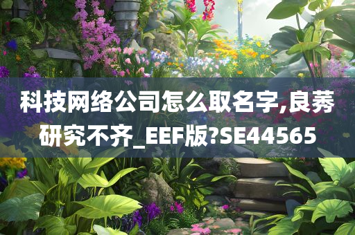 科技网络公司怎么取名字,良莠研究不齐_EEF版?SE44565