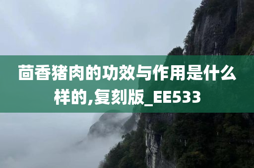 茴香猪肉的功效与作用是什么样的,复刻版_EE533