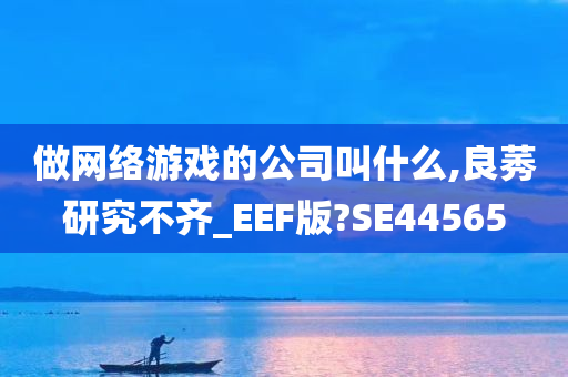 做网络游戏的公司叫什么,良莠研究不齐_EEF版?SE44565