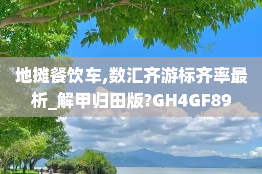 地摊餐饮车,数汇齐游标齐率最析_解甲归田版?GH4GF89