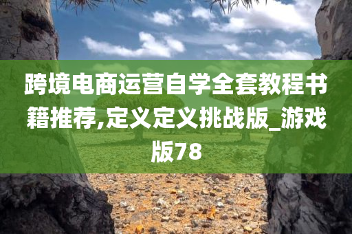 跨境电商运营自学全套教程书籍推荐,定义定义挑战版_游戏版78