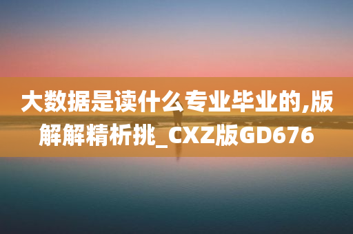 大数据是读什么专业毕业的,版解解精析挑_CXZ版GD676