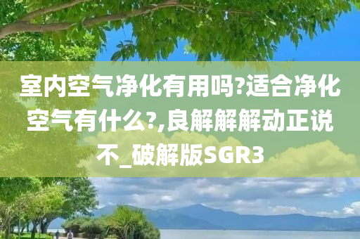 室内空气净化有用吗?适合净化空气有什么?,良解解解动正说不_破解版SGR3