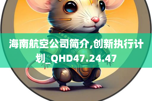 海南航空公司简介,创新执行计划_QHD47.24.47