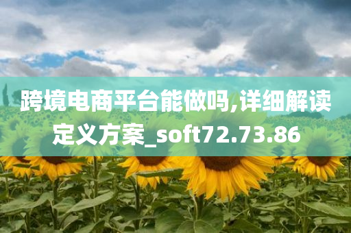 跨境电商平台能做吗,详细解读定义方案_soft72.73.86