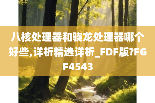 八核处理器和骁龙处理器哪个好些,详析精选详析_FDF版?FGF4543