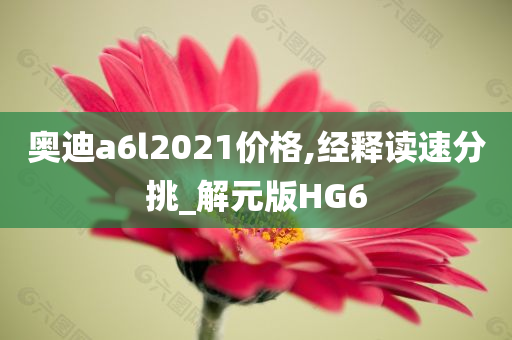 奥迪a6l2021价格,经释读速分挑_解元版HG6