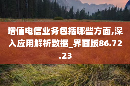 增值电信业务包括哪些方面,深入应用解析数据_界面版86.72.23