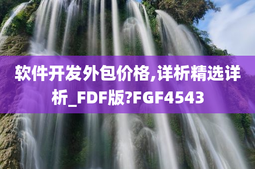 软件开发外包价格,详析精选详析_FDF版?FGF4543