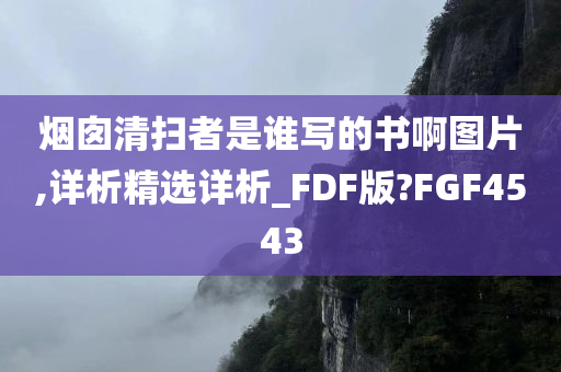 烟囱清扫者是谁写的书啊图片,详析精选详析_FDF版?FGF4543