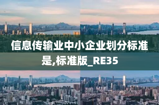 信息传输业中小企业划分标准是,标准版_RE35