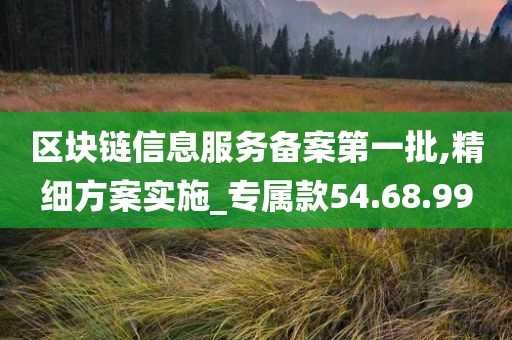 区块链信息服务备案第一批,精细方案实施_专属款54.68.99