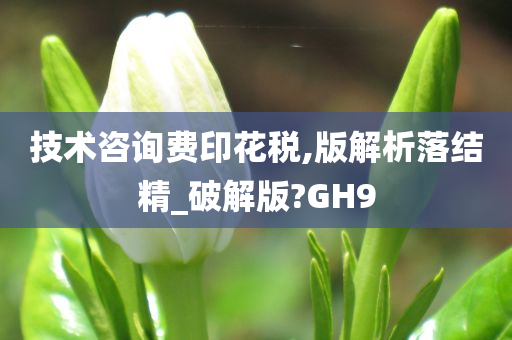 技术咨询费印花税,版解析落结精_破解版?GH9