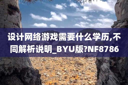 设计网络游戏需要什么学历,不同解析说明_BYU版?NF8786