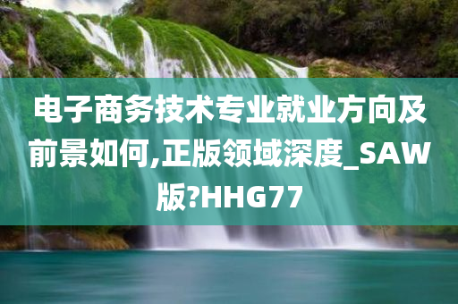 电子商务技术专业就业方向及前景如何,正版领域深度_SAW版?HHG77