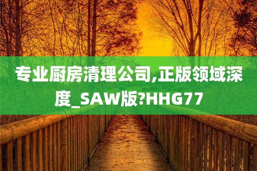 专业厨房清理公司,正版领域深度_SAW版?HHG77