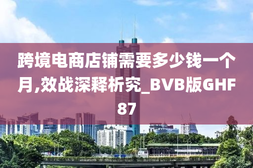 跨境电商店铺需要多少钱一个月,效战深释析究_BVB版GHF87