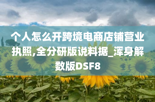 个人怎么开跨境电商店铺营业执照,全分研版说料据_浑身解数版DSF8