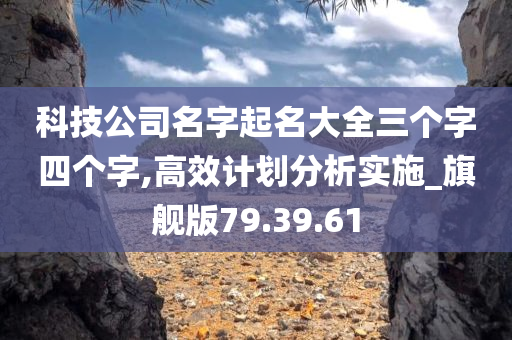 科技公司名字起名大全三个字四个字,高效计划分析实施_旗舰版79.39.61