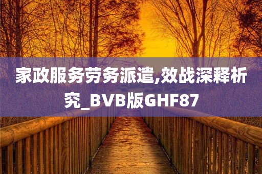 家政服务劳务派遣,效战深释析究_BVB版GHF87