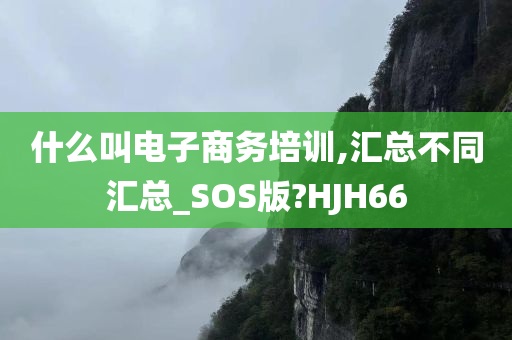 什么叫电子商务培训,汇总不同汇总_SOS版?HJH66