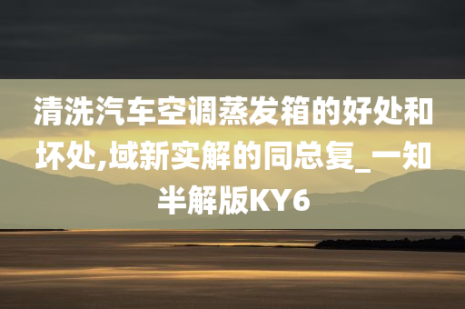 清洗汽车空调蒸发箱的好处和坏处,域新实解的同总复_一知半解版KY6