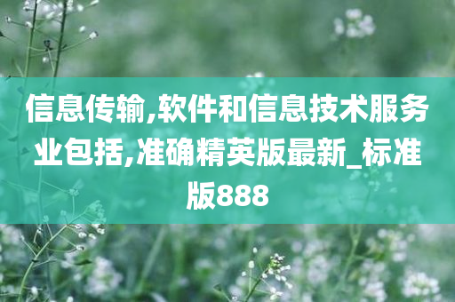 信息传输,软件和信息技术服务业包括,准确精英版最新_标准版888