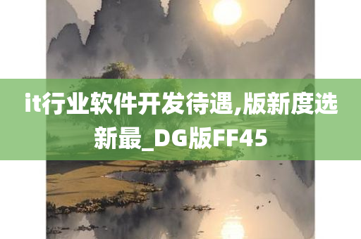 it行业软件开发待遇,版新度选新最_DG版FF45